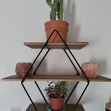 Chez Chapelle In The Heart Of The Gascony With Pool, Pets Welcome! Apartment Auch