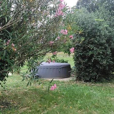 Apartment Chez Chapelle In The Heart Of The Gascony With Pool And Hot Tub *