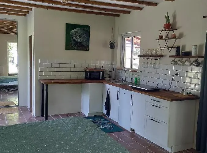 شقة Chez Chapelle In The Heart Of The Gascony With Pool, Pets Welcome! أوش