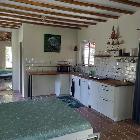 公寓 Chez Chapelle In The Heart Of The Gascony With Pool, Pets Welcome! 欧什