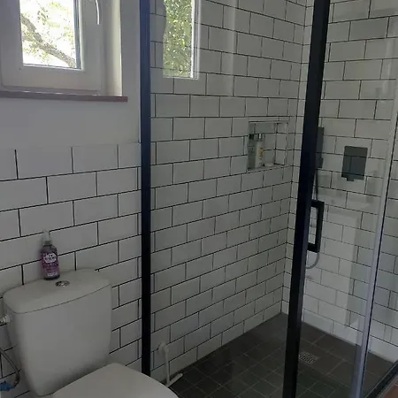 公寓 Chez Chapelle In The Heart Of The Gascony With Pool, Pets Welcome! 欧什