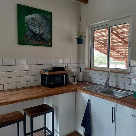 Chez Chapelle In The Heart Of The Gascony With Pool, Pets Welcome! 公寓