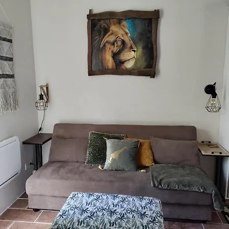 Chez Chapelle In The Heart Of The Gascony With Pool, Pets Welcome! 欧什