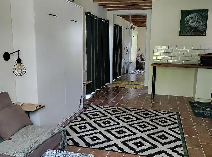 Chez Chapelle In The Heart Of The Gascony With Pool, Pets Welcome! オーシュ