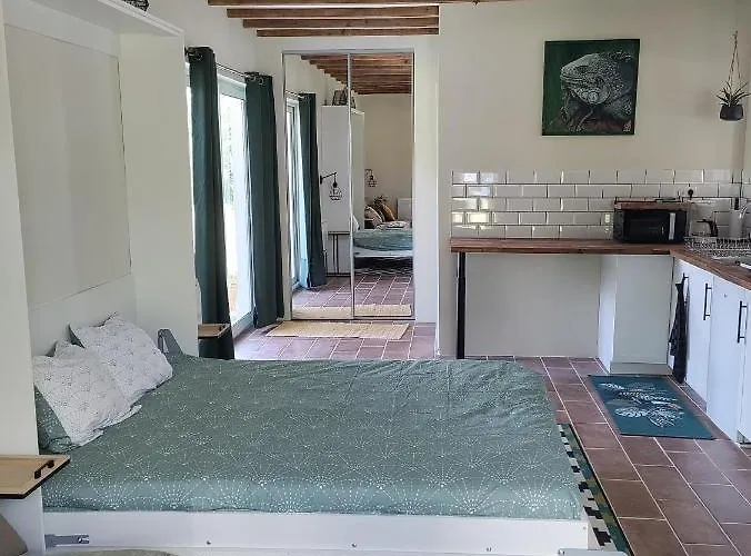 アパート Chez Chapelle In The Heart Of The Gascony With Pool, Pets Welcome!