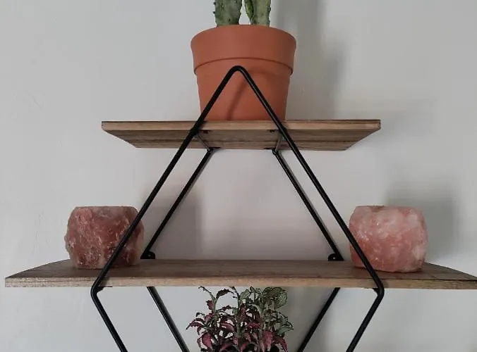 Chez Chapelle In The Heart Of The Gascony With Pool, Pets Welcome! アパート オーシュ